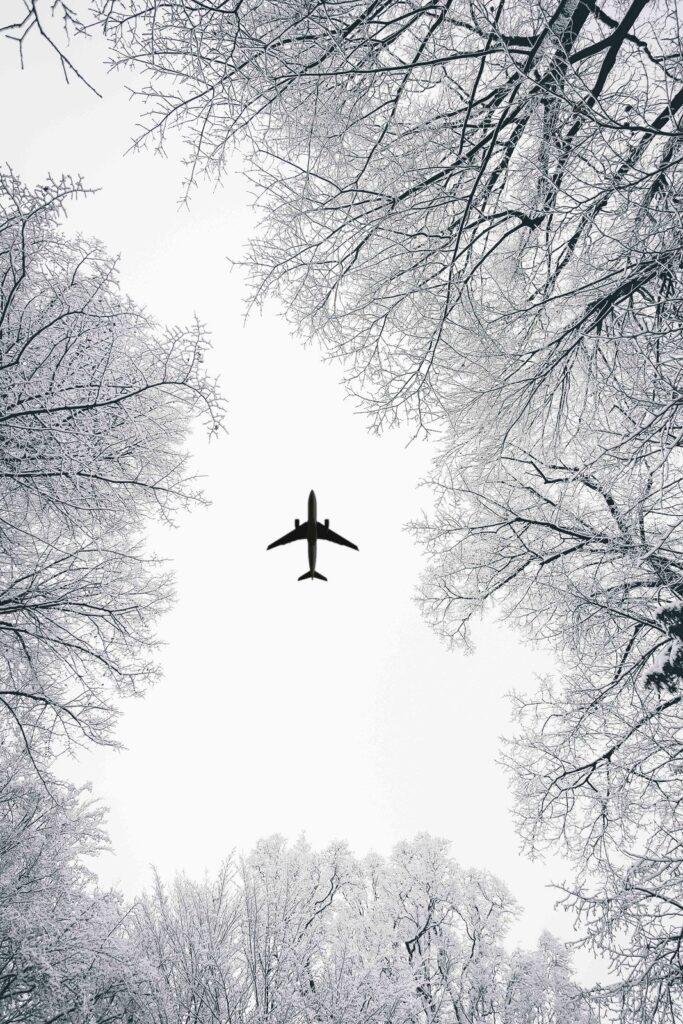ITA Airways: The Most Up To Date Airline Ecosystem