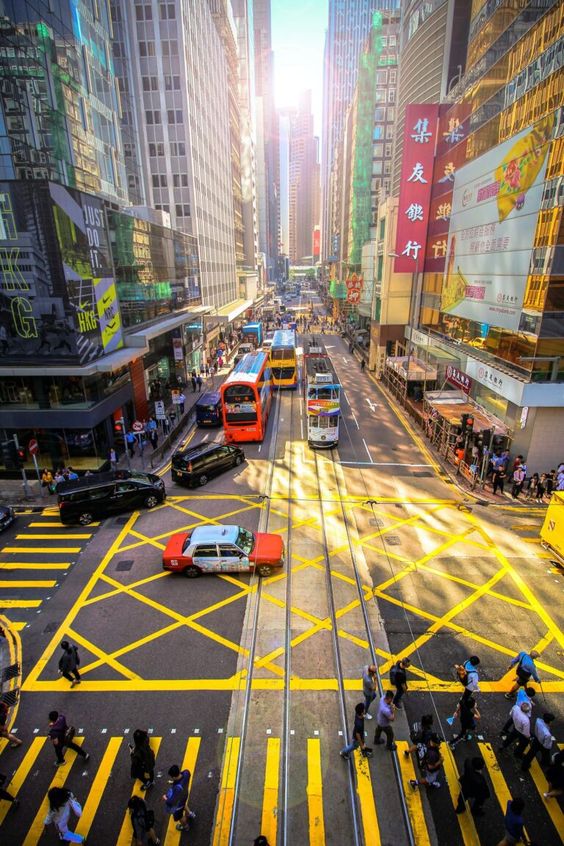 From Imperial Palaces to Modern Skyscrapers: Best Areas to Stay in Hong Kong