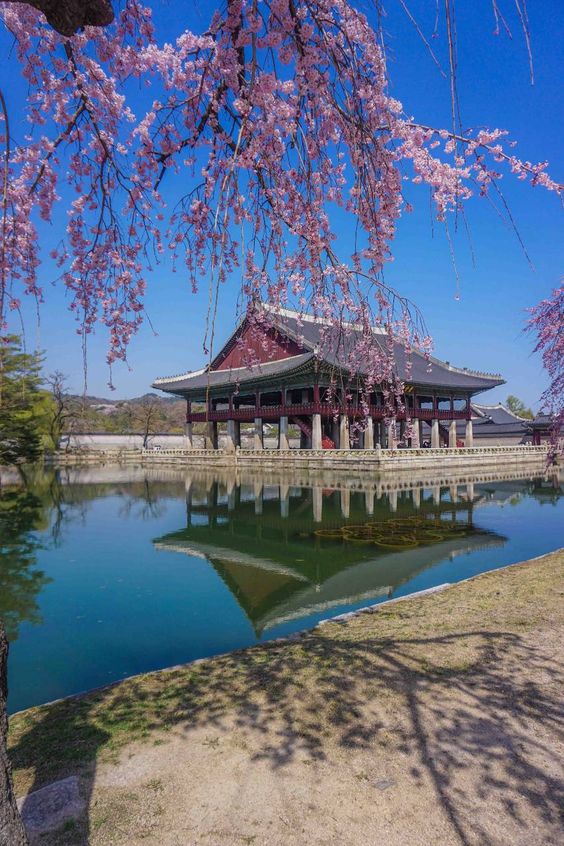 Traveling with Kids? Here’s How to Find Family-Friendly Hotels in South Korea